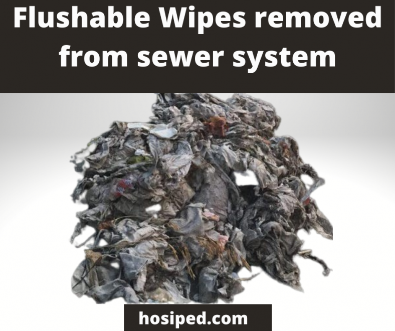 How To Dispose Of Flushable Wipes Hosiped