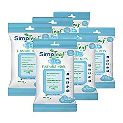 biodegradeable wipes for potty training a child
