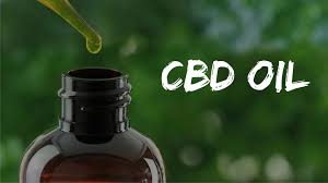 cbd oil for parkinsons tremors