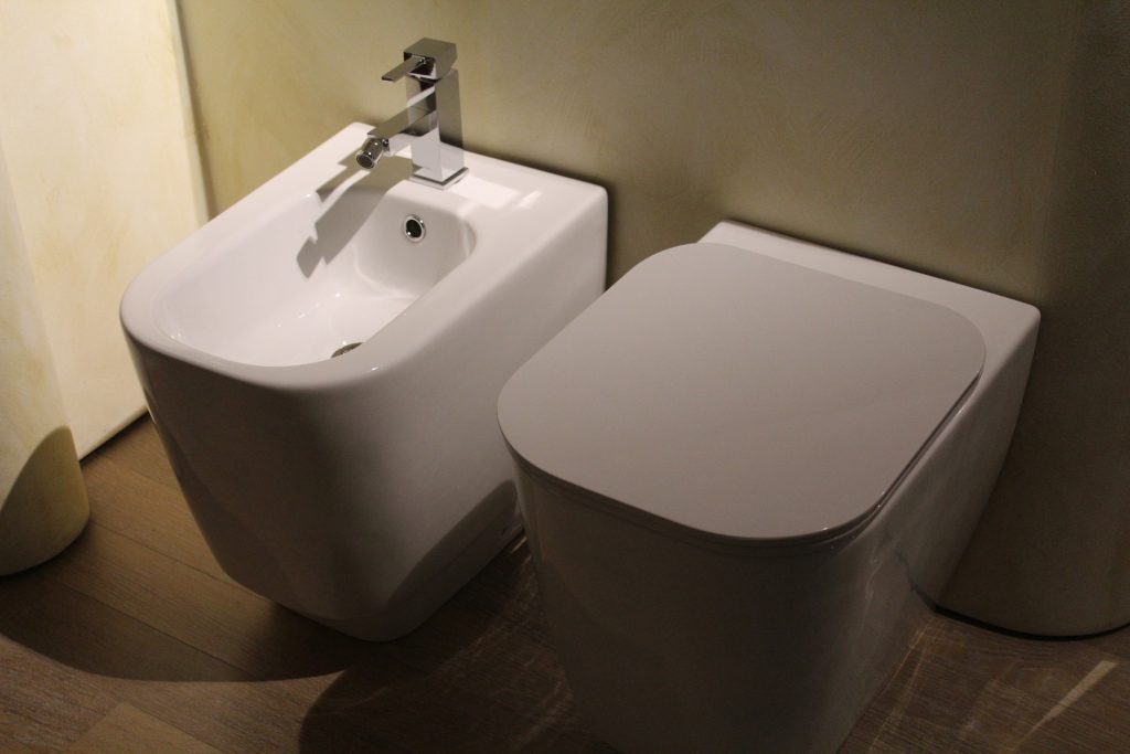 toilet with bidet seat