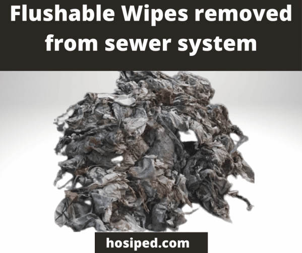 How to Dispose of Flushable Wipes HOSIPED