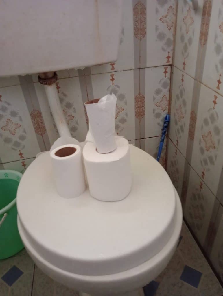 toilex toilet paper in my washroom